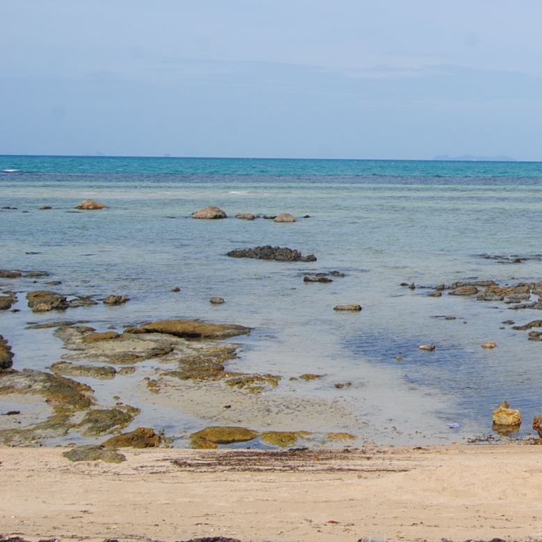 SAMUI-CAR-FINDER