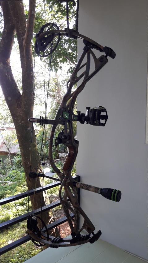 Hoyt Compound Bow for sale | Sports & Fitness | Phuket | BahtSold.com