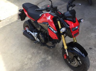 Honda MSX 125cc, 2017