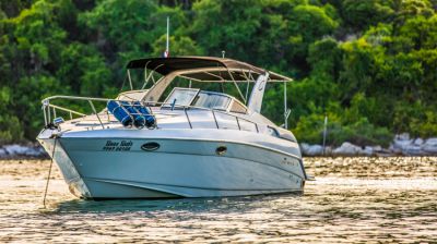 Regal 35 foot Foot Motor Cruiser for sale