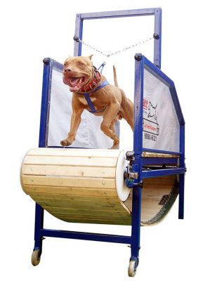 Treadmill for Handicapped Dogs - Please give or sell cheap a treadmill