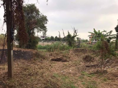 Land for sale near the Chao Phraya River Phra Nakhon Si Ayutthaya 8 kilometers from the island