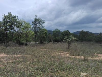 Below Market Value Mountainside Land Plot 40-1-13 Rai - Soi 114 Area