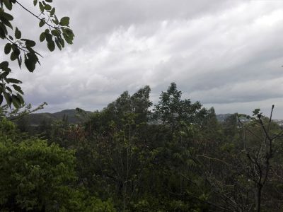 Below Market Value Mountainside Land Plot 40-1-13 Rai - Soi 114 Area