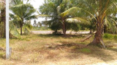 Land for sale in Prachuap khiri khan 456 Sqm.