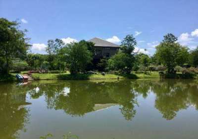 Khao Yai Two Houses on a large plot of land 