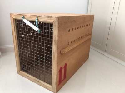 Dog box for international travel