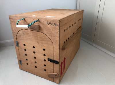 Dog box for international travel