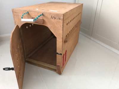 Dog box for international travel