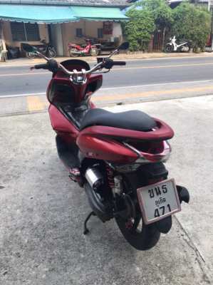 Pcx 125 cc