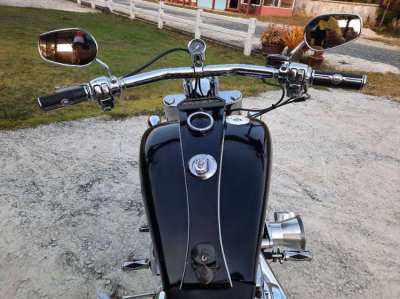 Custom Harley Davidson 2005 1400cc