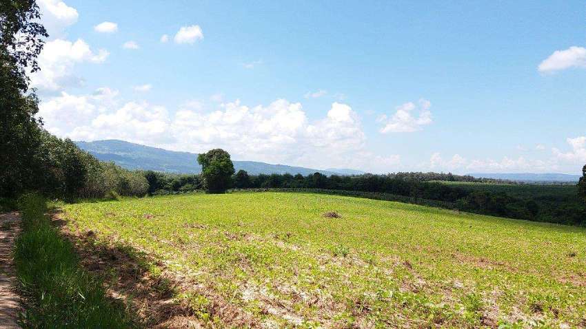 Phu Ruea District for sale, land title deeds 26 rai 2 ngan 38 sq.w.