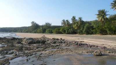 Lots for Sale by Owner Beautiful Beachfront Land  on Koh Sukorn Island for sale  by 