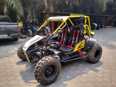 Motor buggies for store sale