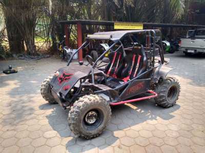 Off road buggies for sale