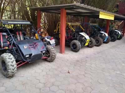 Off road buggies for sale