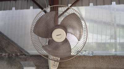 Small Hatari fan (2)