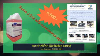 Carpet cleaning service, carpet sanitation