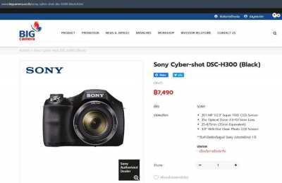 Sony H300 Camera with 35x Zoom Lens, Cyber-shot DSC-H300