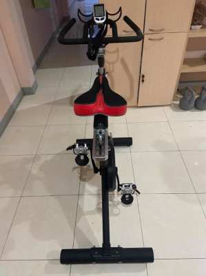 Sole SB700 Exercise Bike