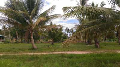 Land for sale in Prachuap khiri khan 456 Sqm.