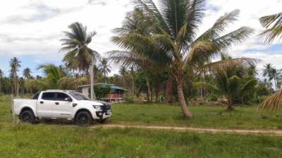 Land for sale in Prachuap khiri khan 456 Sqm.