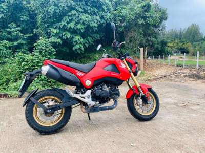 HONDA MSX 125cc