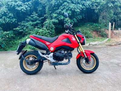 HONDA MSX 125cc