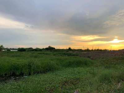 Land for sale in Lat Krabang (Sale by owner)