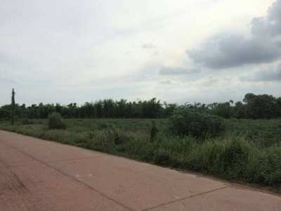 Land for sale in Nong ki  (contact the owner only)