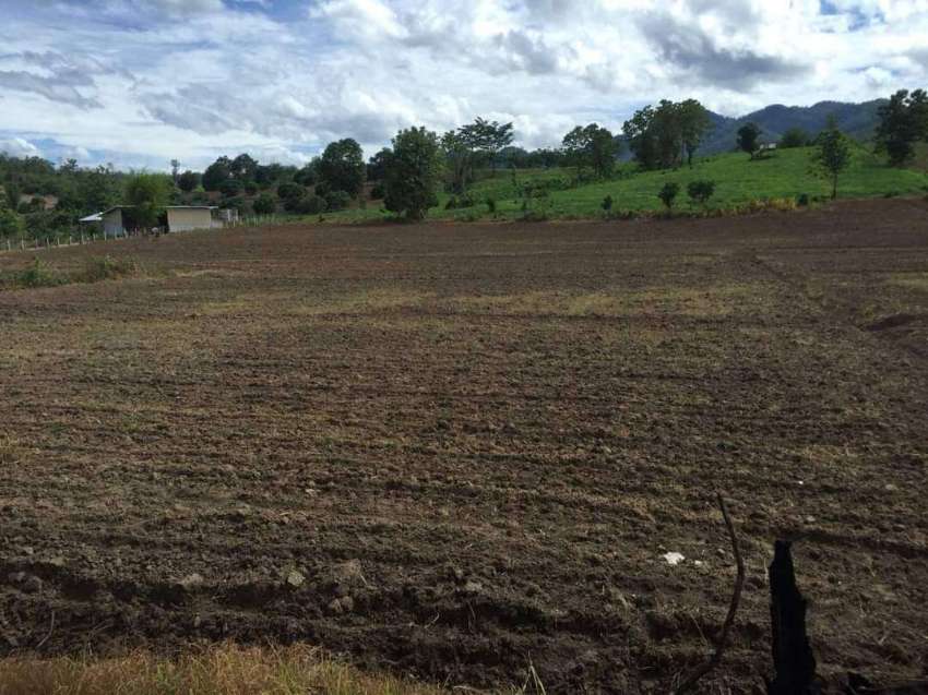 Land for sale in Thung Yao Hong Son Province (4-2-67 Rai) Owners Post