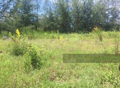 Land for sale in beautiful location of Koh Phra Thong 