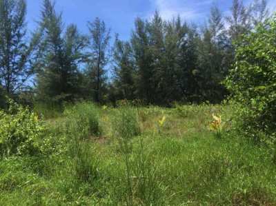 Land for sale in beautiful location of Koh Phra Thong 