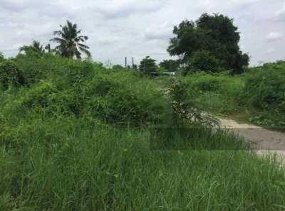 Land for Sale in Nakhon Pathom Province (Sale by Owner)