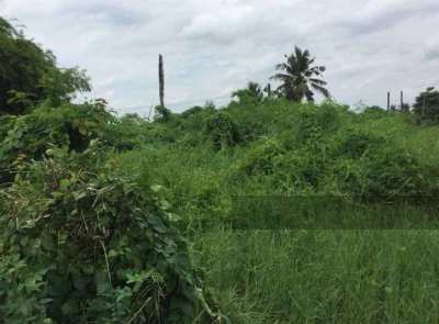 Land for Sale in Nakhon Pathom Province (Sale by Owner)