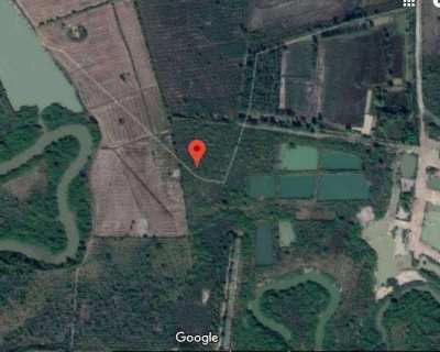 Land for sale in Nakhon Phanom (34 Rai) Owners Post