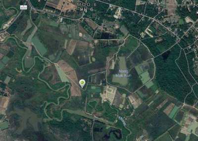 Land for sale in Nakhon Phanom (34 Rai) Owners Post