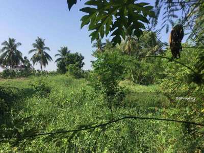 Land for sale in Nakhon Pathom (Owners Post)