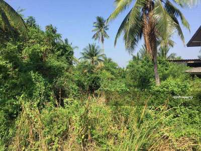 Land for sale in Nakhon Pathom (Owners Post)