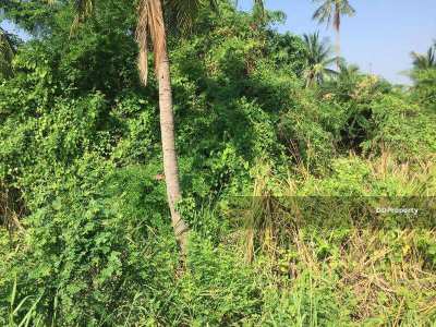 Land for sale in Nakhon Pathom (Owners Post)