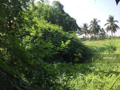 Land for sale in Nakhon Pathom (Owners Post)