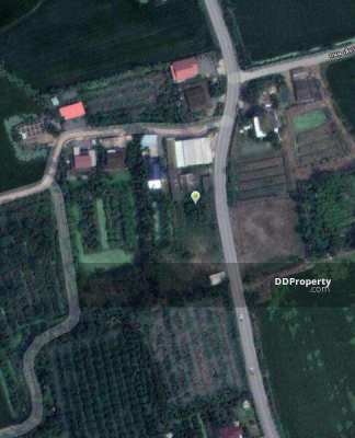 Land for sale in Nakhon Pathom (Owners Post)