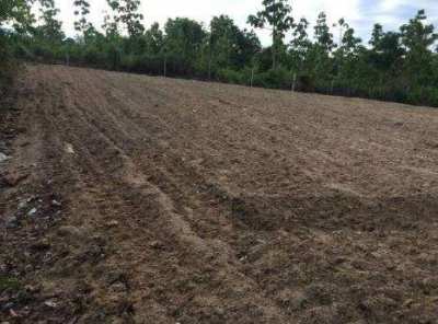 Land for sale in Thung Yao Subdistrict (11 Rai) Owners Post