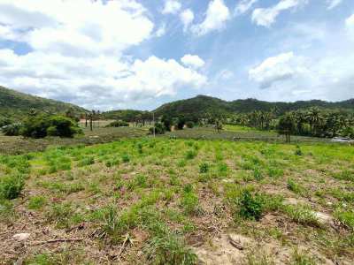 Beautiful Mountain View Land - Owner Will Subdivide - Minimum 2 Rai 