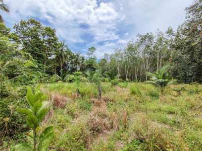 Flat land for sale