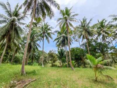 Flat land for sale