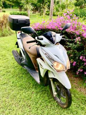 Honda Click with Back Box .. 1,500฿ per Month