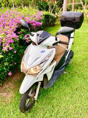 Honda Click with Back Box .. 1,500฿ per Month