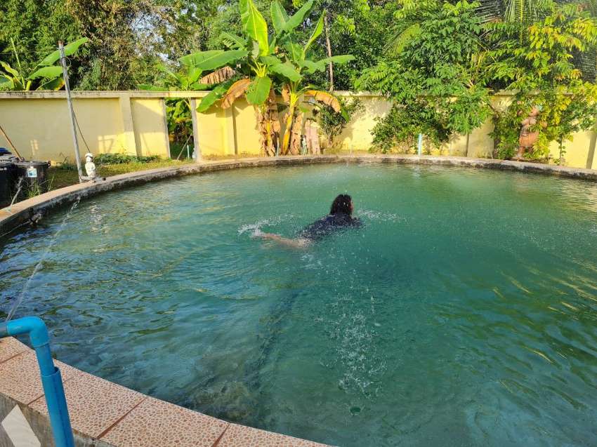 Garden Home for sale in Surin city.