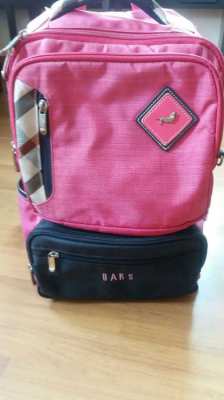 DAKS Backpack - Like New